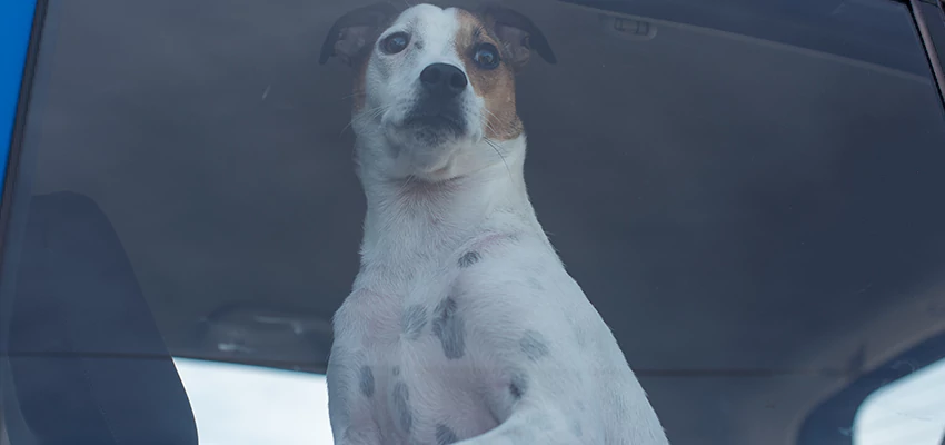 Car Lockout Solutions in Bonita, California