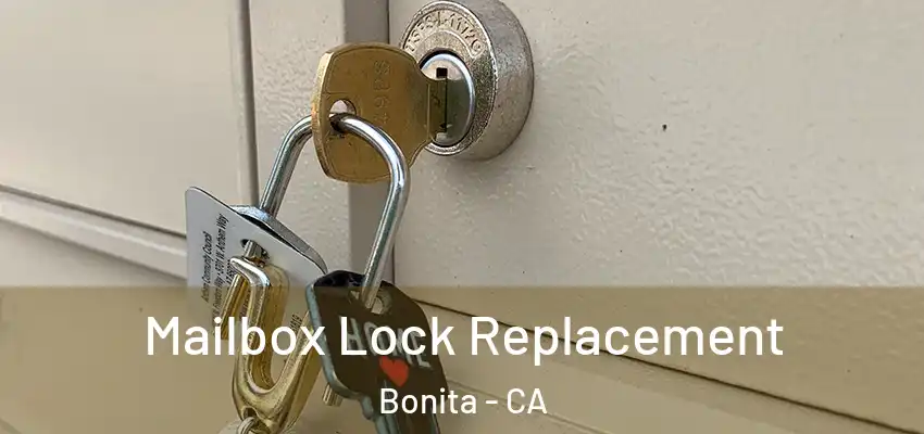  Mailbox Lock Replacement Bonita - CA