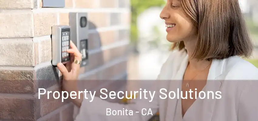 Property Security Solutions Bonita - CA
